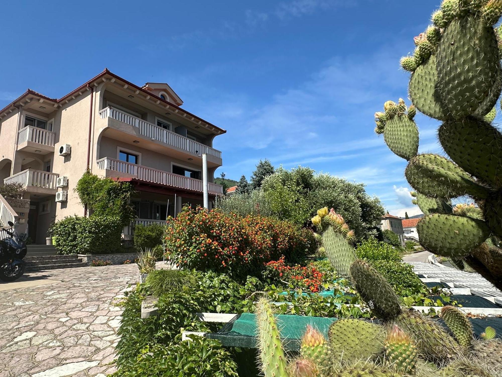 Vila Jadranka Apartments Herceg Novi Exterior photo